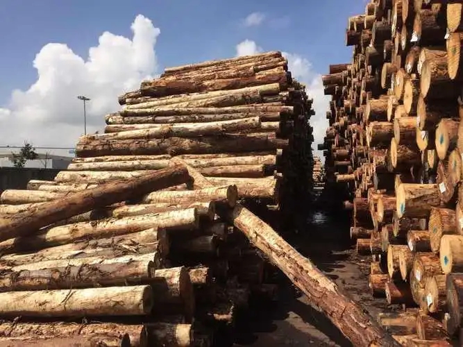 进口东南亚木材需要哪些材料？